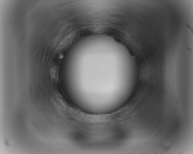 X0000101680044200807171422