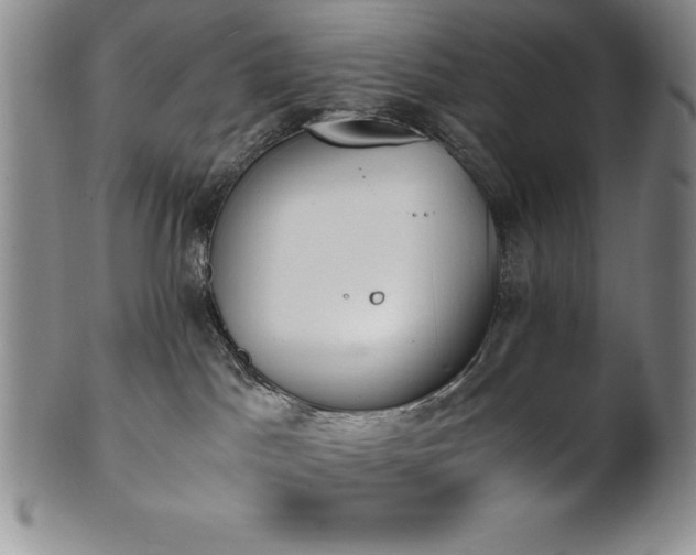 X0000101680045200807171422