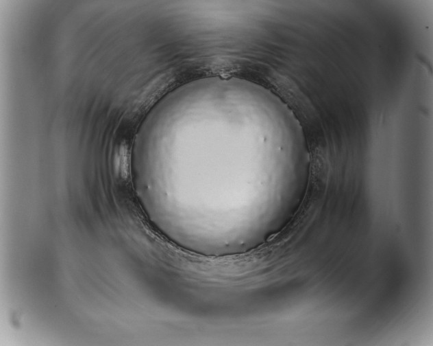 X0000101680046200807171422