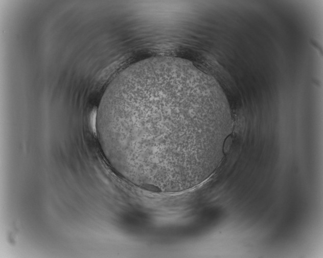 X0000101680047200807171422