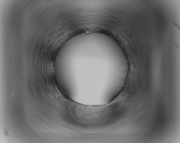 X0000101680048200807171422