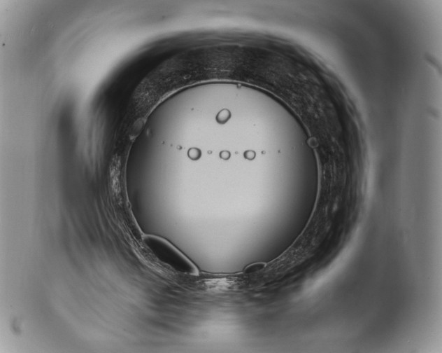 X0000101680050200807171421