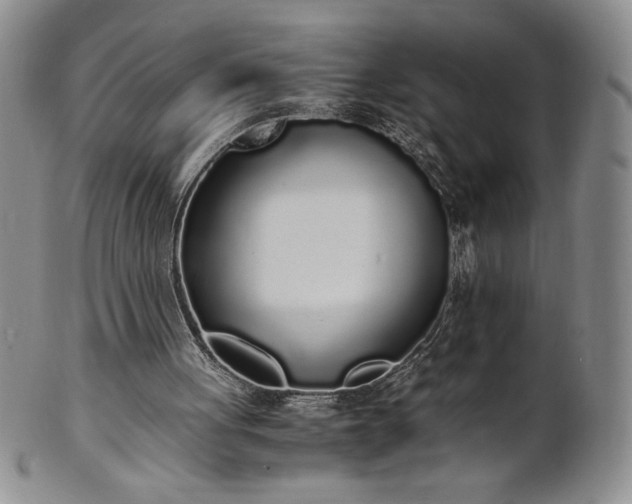 X0000101680051200807171422