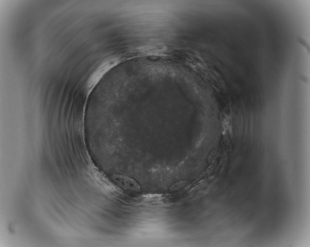 X0000101680052200807171422