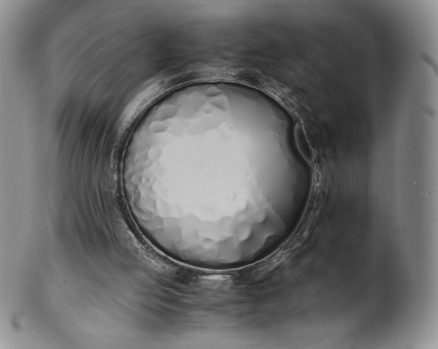 X0000101680053200807171422