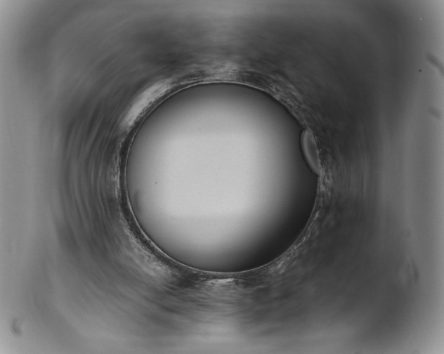 X0000101680054200807171422