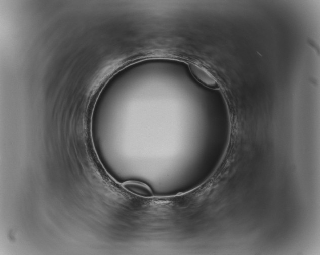 X0000101680055200807171422