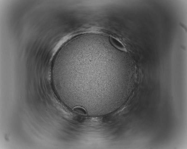 X0000101680056200807171422