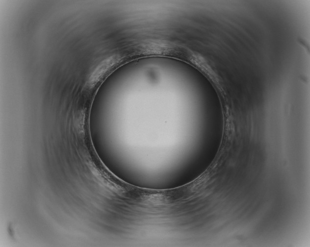 X0000101680058200807171422