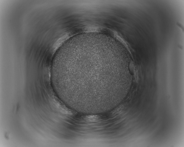 X0000101680059200807171422