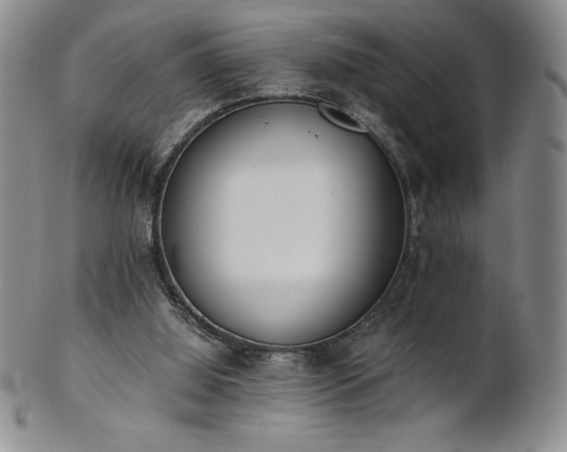 X0000101680060200807171422