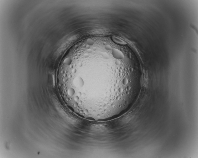 X0000101680061200807171422