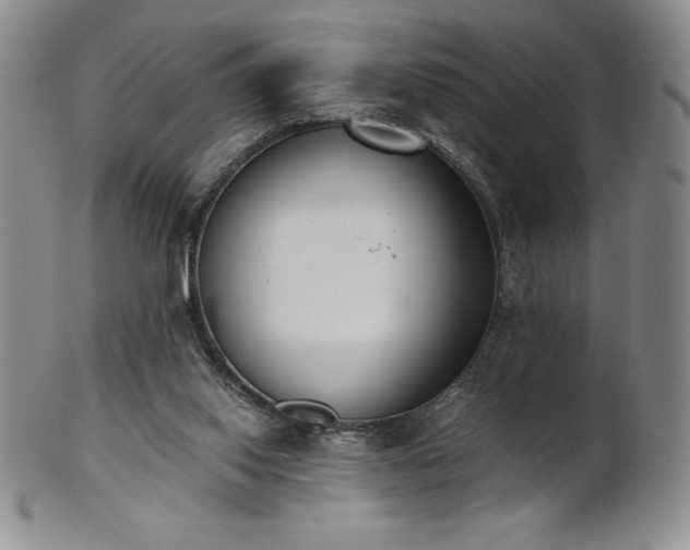 X0000101680062200807171422