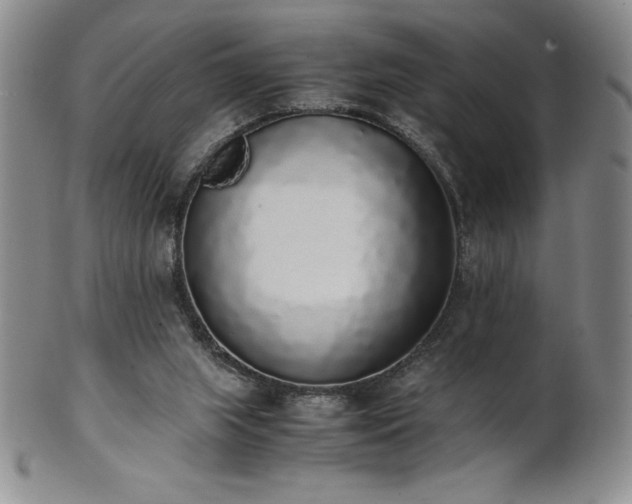 X0000101680063200807171422