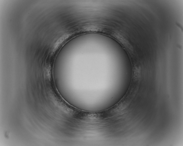 X0000101680064200807171422