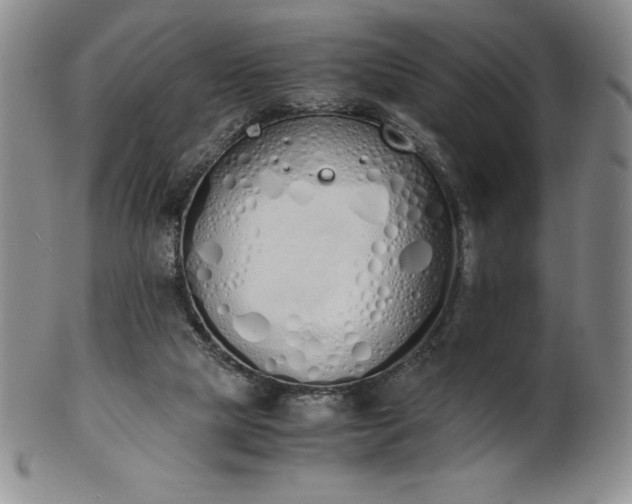 X0000101680065200807171422