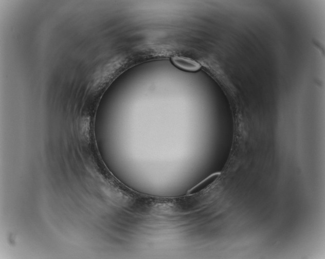 X0000101680066200807171422