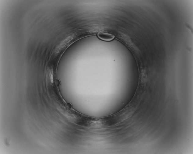 X0000101680068200807171422