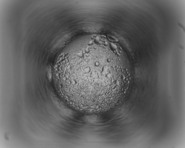 X0000101680069200807171422