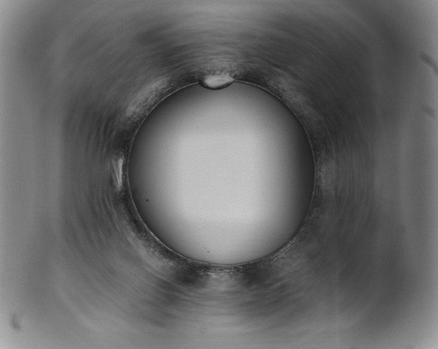 X0000101680070200807171422