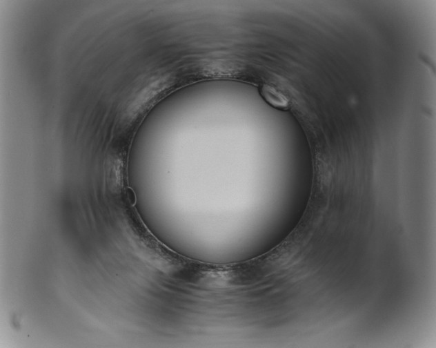 X0000101680071200807171422