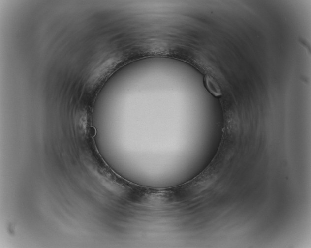 X0000101680072200807171422