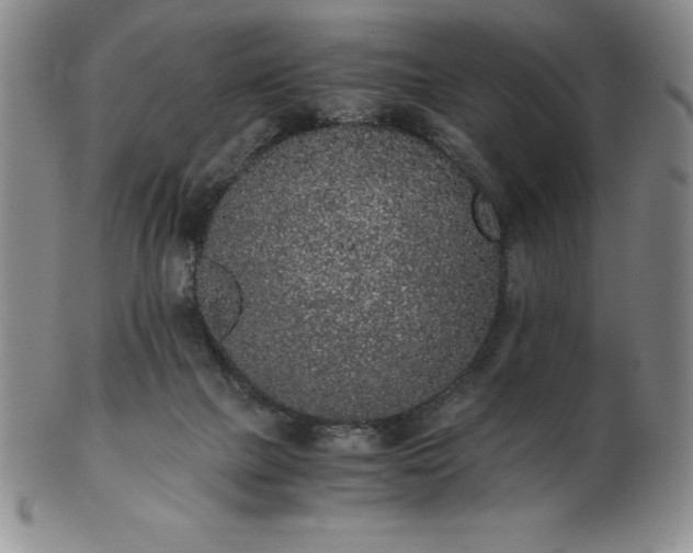 X0000101680073200807171422