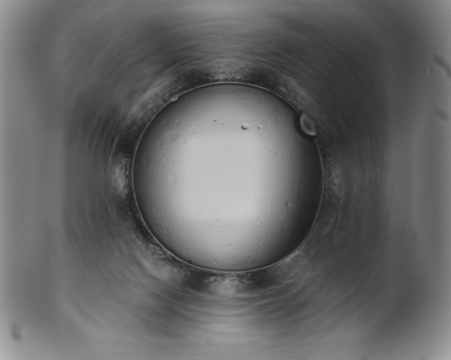 X0000101680074200807171422