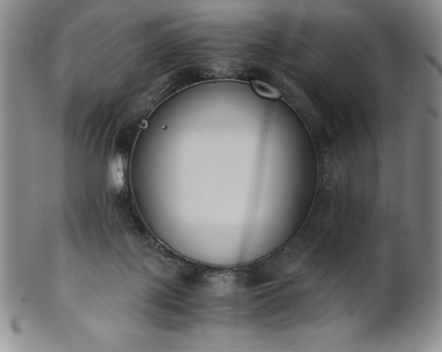 X0000101680075200807171422