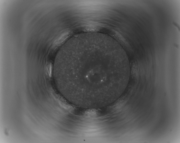 X0000101680076200807171422