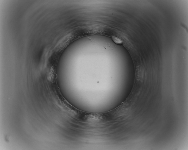 X0000101680077200807171422