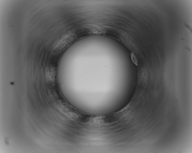 X0000101680078200807171422