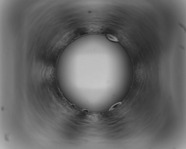 X0000101680079200807171422