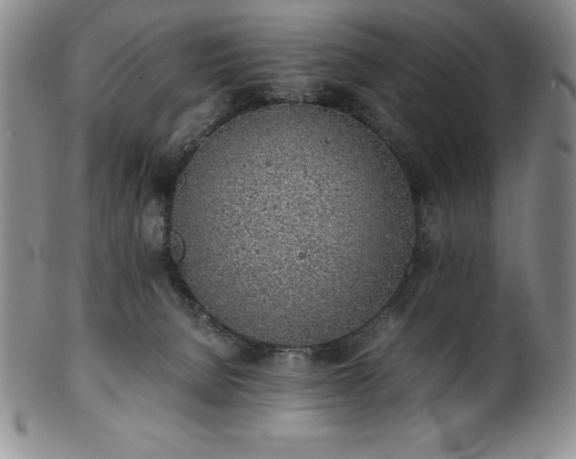 X0000101680080200807171422