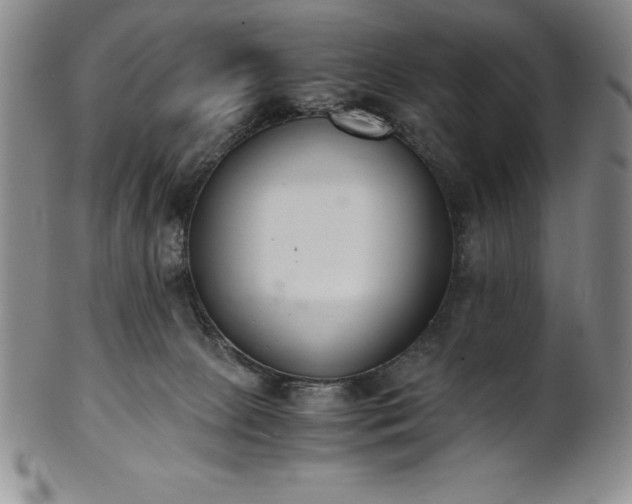 X0000101680081200807171422