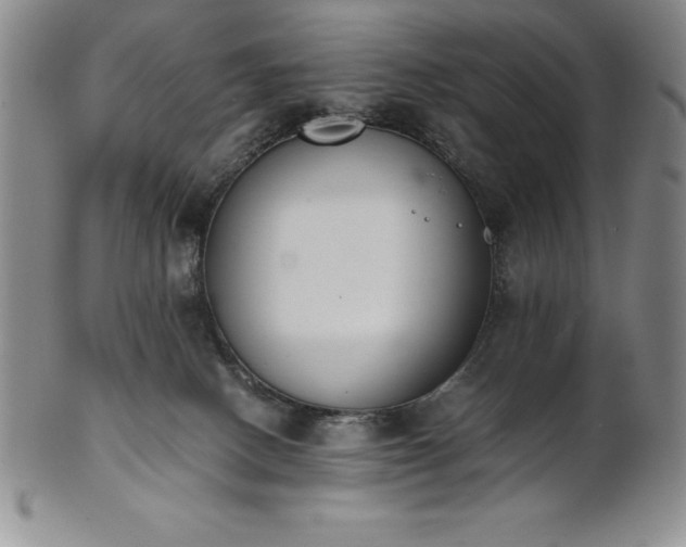 X0000101680082200807171422