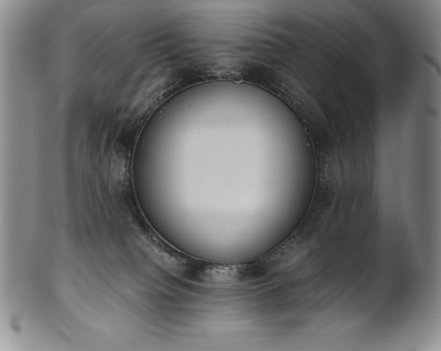 X0000101680084200807171422