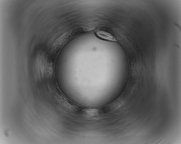 X0000101680085200807171422