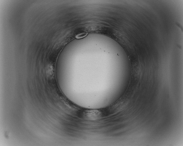 X0000101680087200807171422