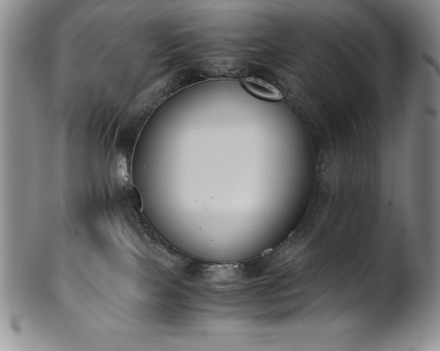 X0000101680089200807171422