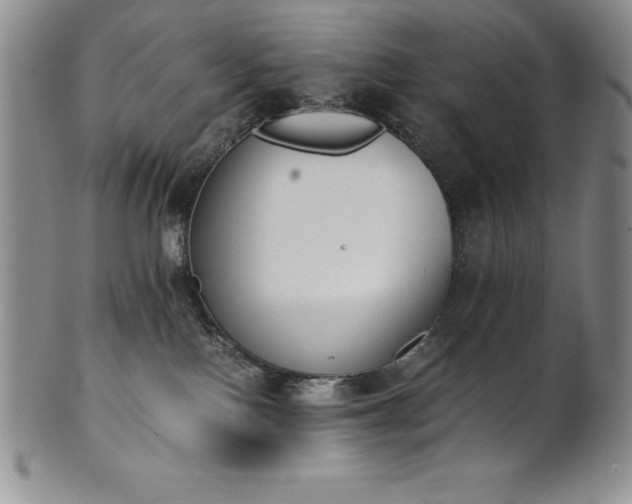 X0000101680090200807171422