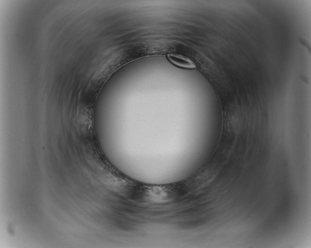 X0000101680091200807171422