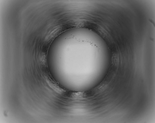 X0000101680092200807171422