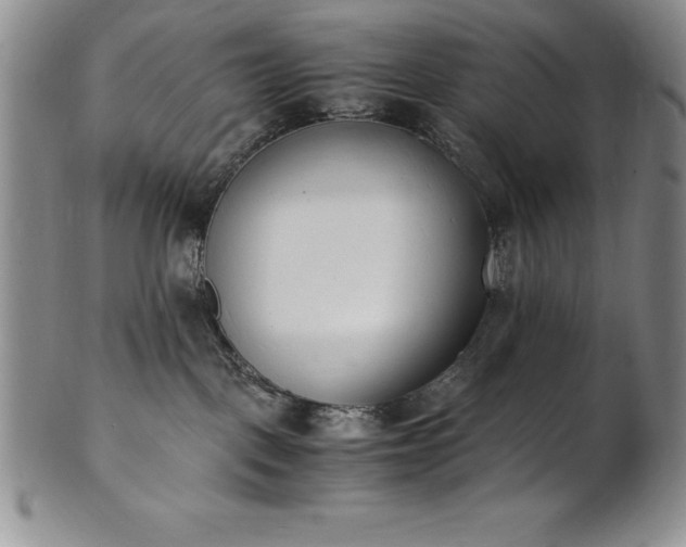 X0000101680093200807171422