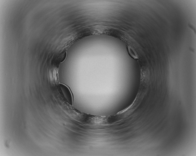 X0000101680094200807171422