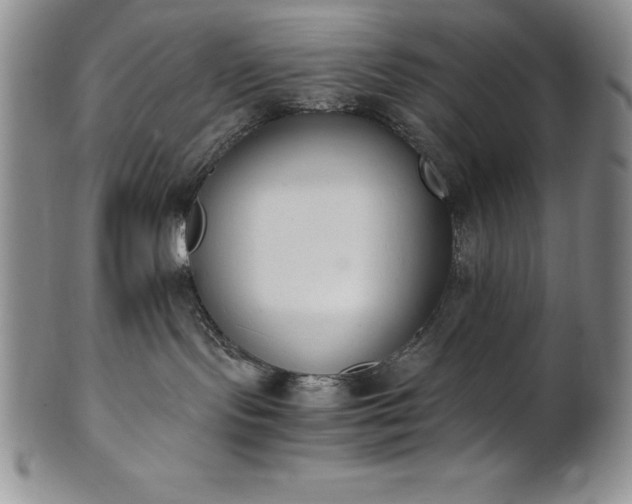 X0000101680095200807171422