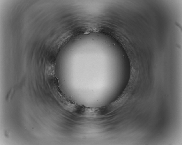 X0000101680096200807171422