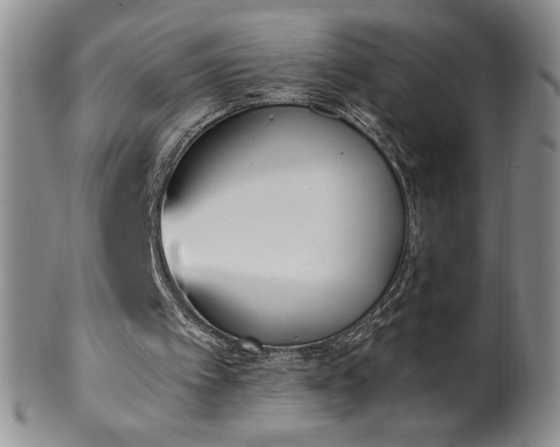 X0000101680097200807171421