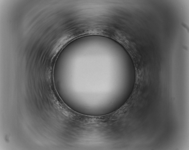 X0000101680098200807171421