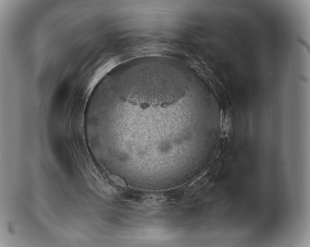 X0000101680099200807171421